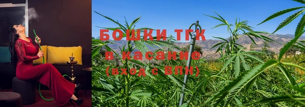 PSILOCYBIN Дмитровск